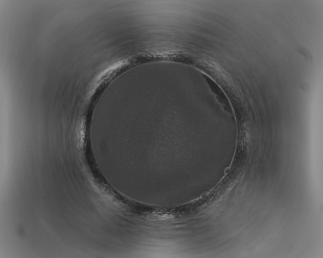 X0000113610640200909181420