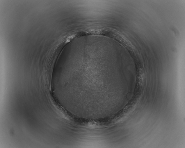 X0000113610641200909181420