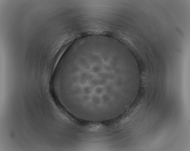 X0000113610642200909181420