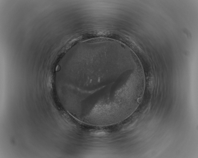 X0000113610643200909181420