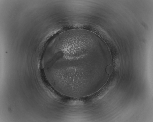 X0000113610644200909181420