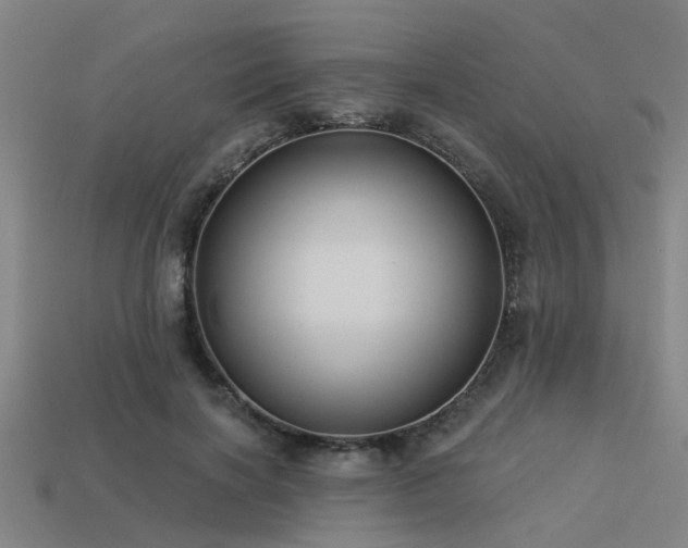 X0000113610646200909181420