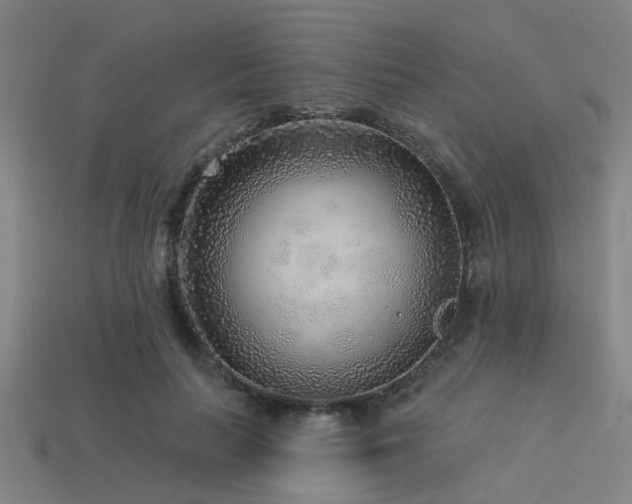 X0000113610647200909181420