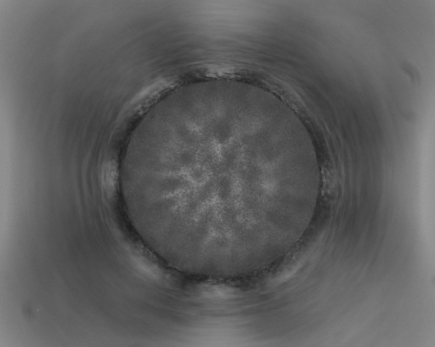 X0000113610648200909181420