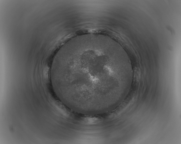 X0000113610650200909181420