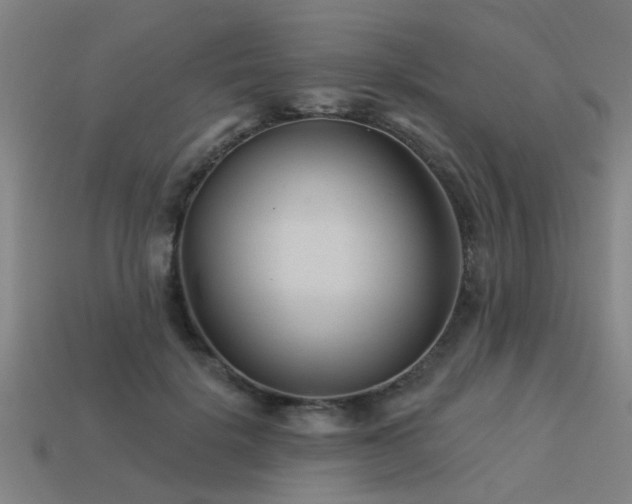 X0000113610652200909181420