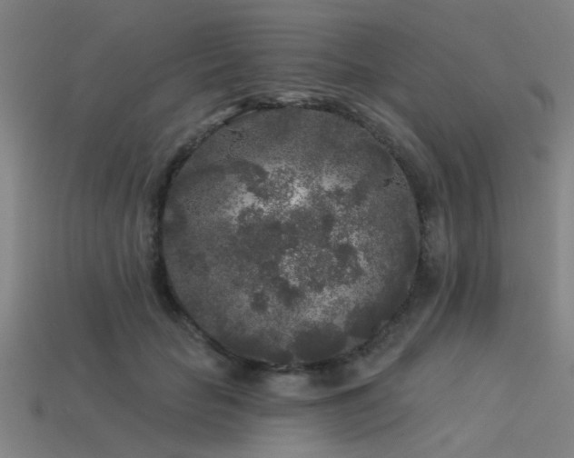 X0000113610653200909181420