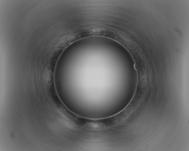 X0000113610654200909181420