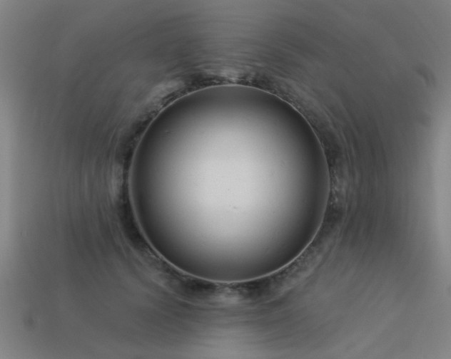 X0000113610656200909181420