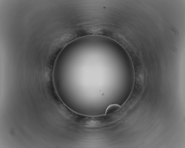 X0000113610658200909181420