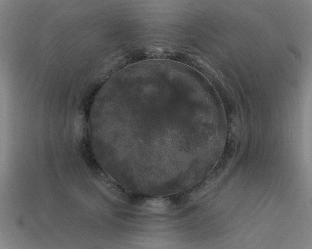 X0000113610659200909181420