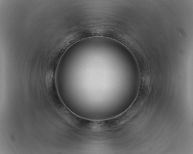 X0000113610660200909181420