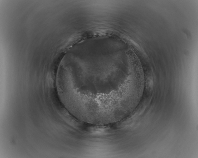 X0000113610661200909181420