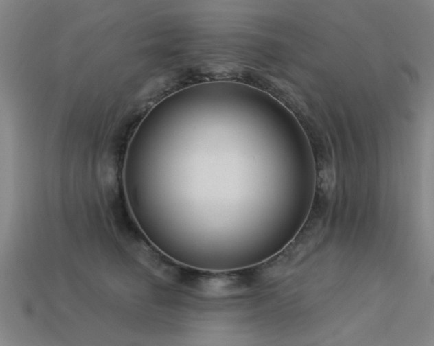 X0000113610662200909181420