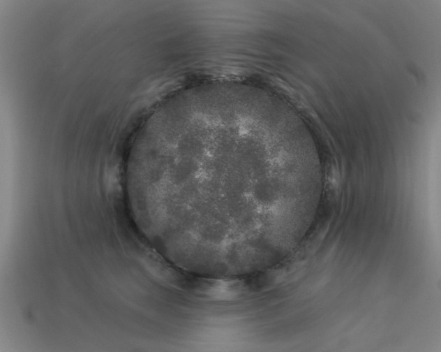 X0000113610663200909181420