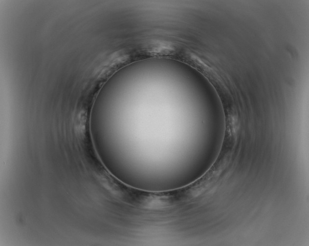 X0000113610664200909181420