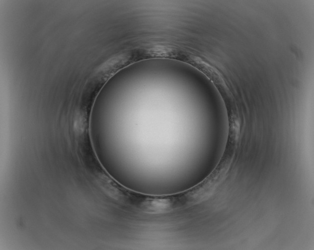 X0000113610665200909181420