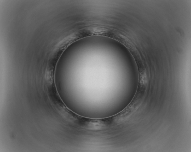 X0000113610666200909181420