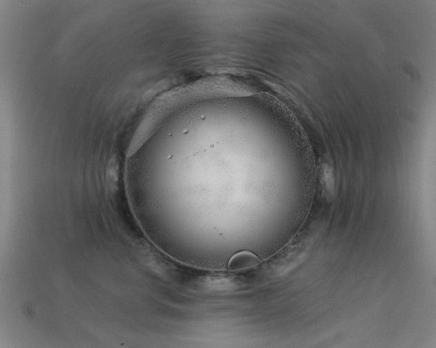 X0000113610668200909181420