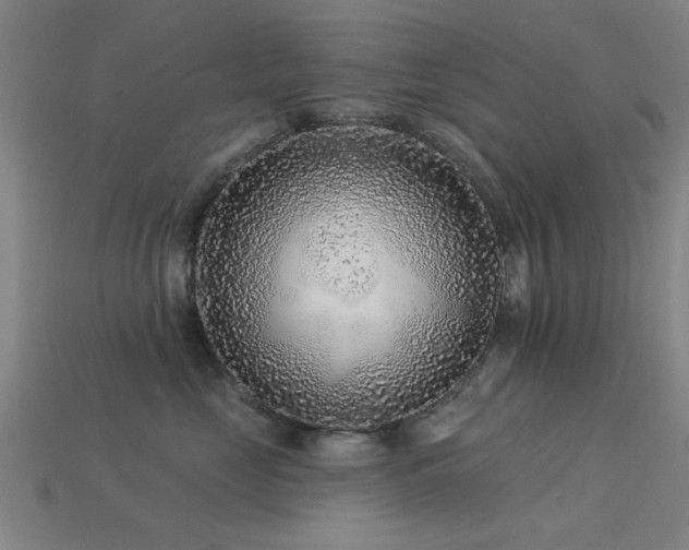 X0000113610669200909181420