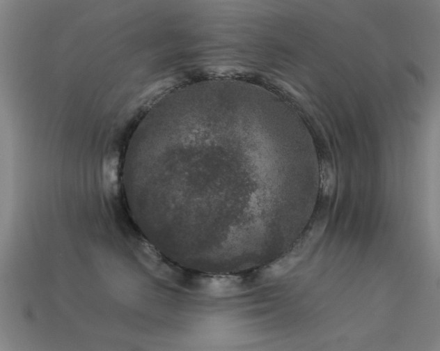 X0000113610670200909181420