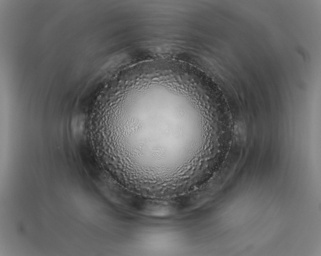 X0000113610671200909181420