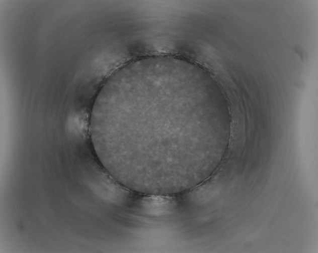 X0000113610672200909181420