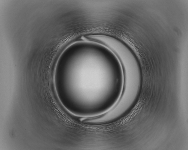 X0000113610673200909181419