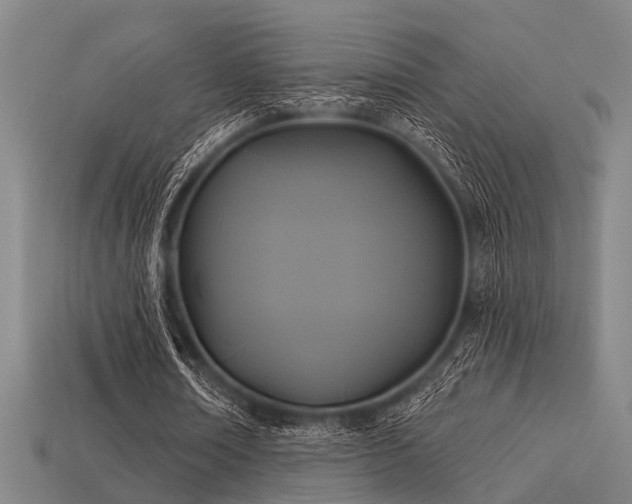 X0000113610674200909181419