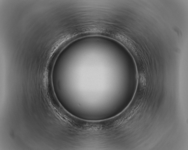 X0000113610676200909181419