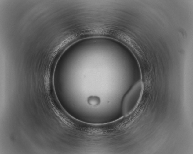 X0000113610677200909181419