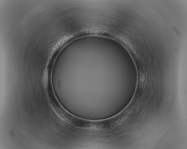 X0000113610678200909181419