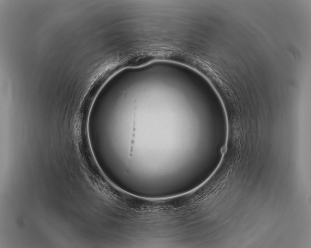 X0000113610679200909181419