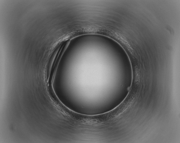 X0000113610681200909181419