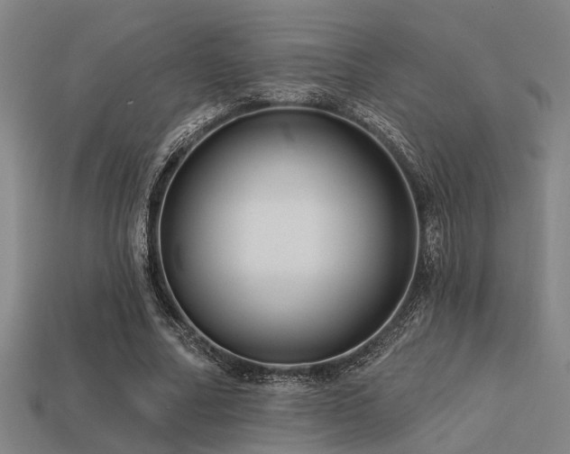 X0000113610682200909181419