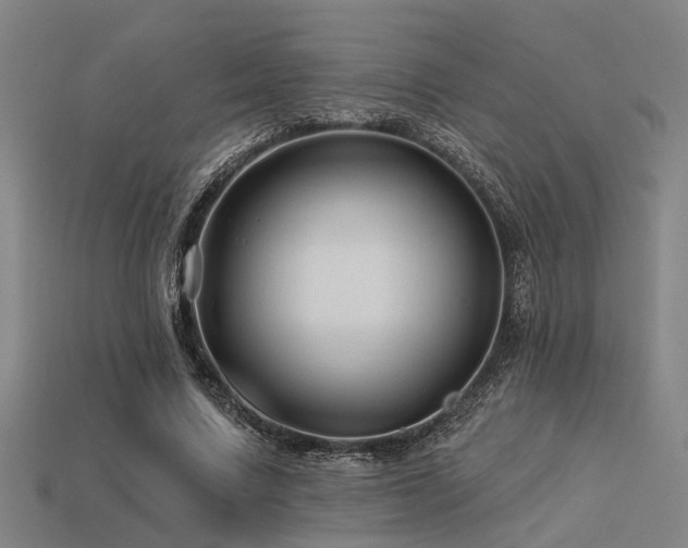 X0000113610683200909181419