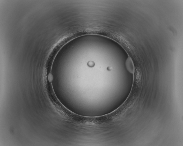 X0000113610684200909181419