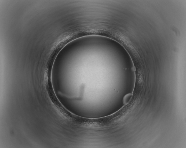 X0000113610685200909181419