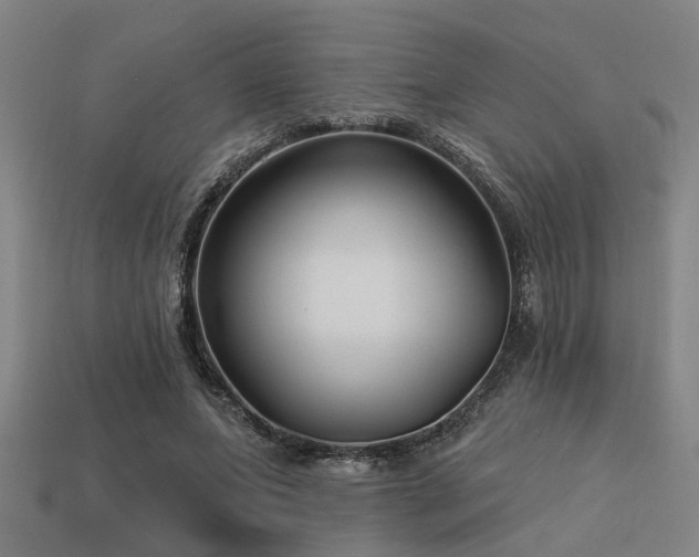 X0000113610687200909181419