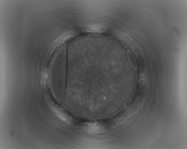 X0000113610688200909181419