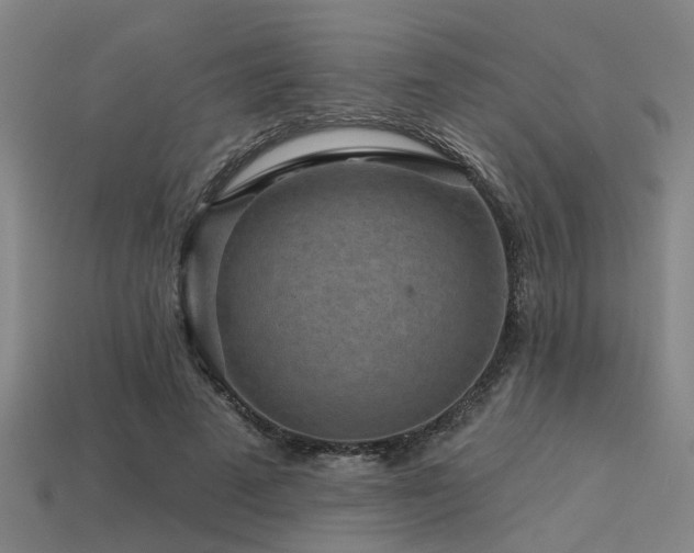 X0000113610689200909181419