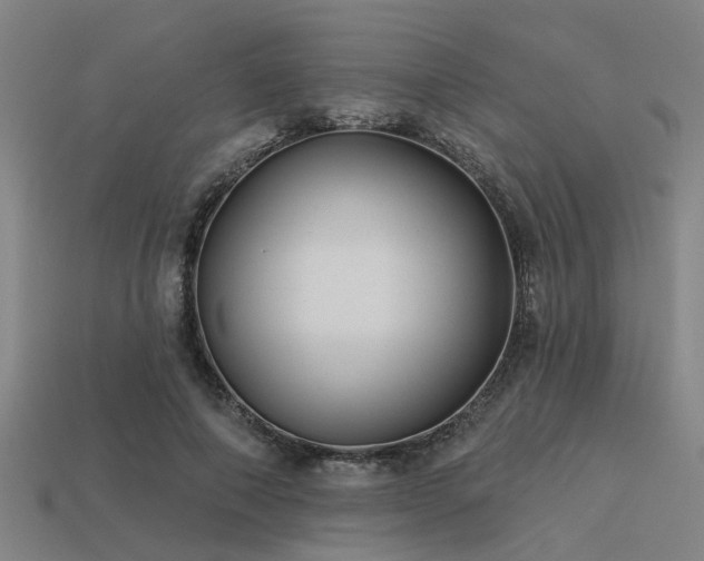 X0000113610690200909181419