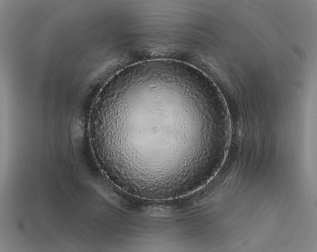 X0000113610691200909181419