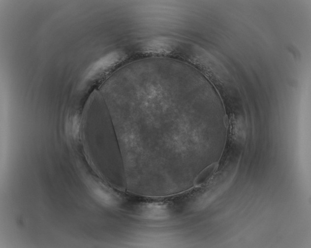 X0000113610692200909181419