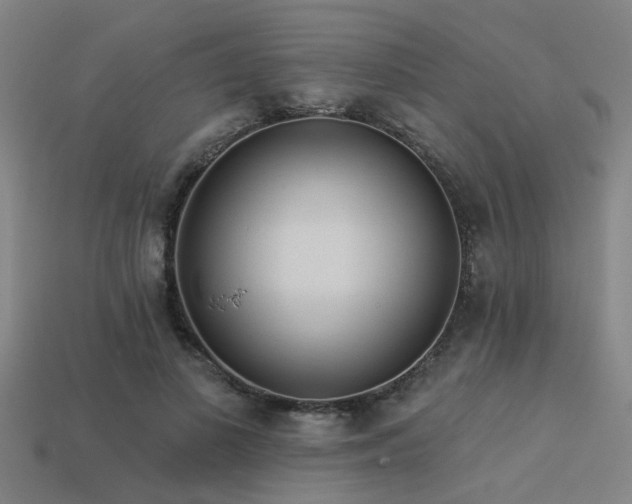 X0000113610693200909181419