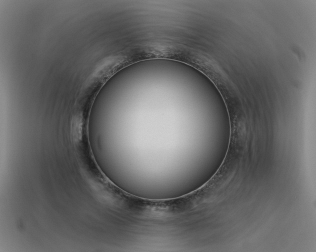 X0000113610694200909181419