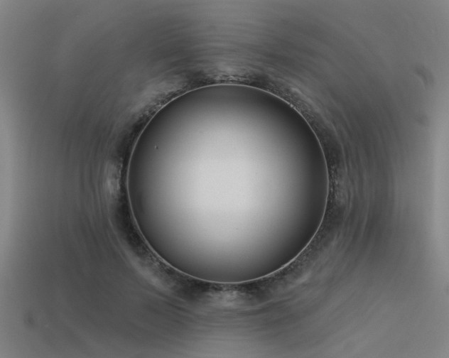 X0000113610695200909181419