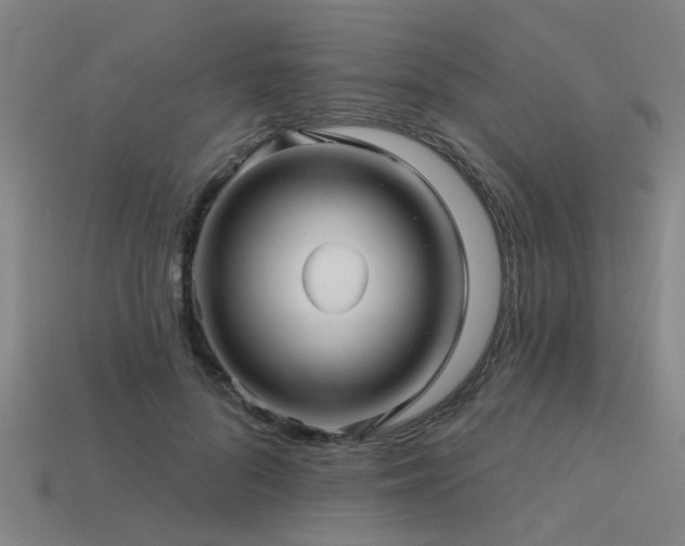 X0000113610696200909181419