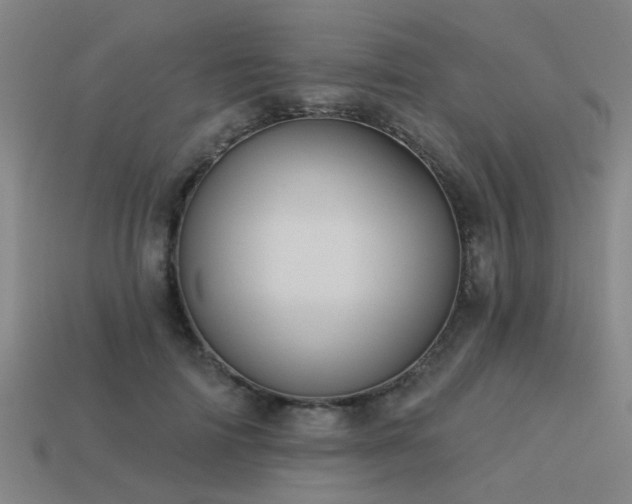 X0000113610698200909181419