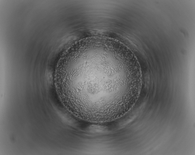 X0000113610699200909181419